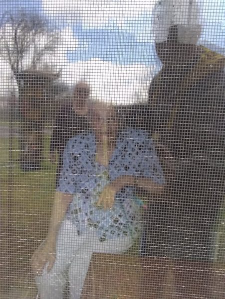 Mom through the Window